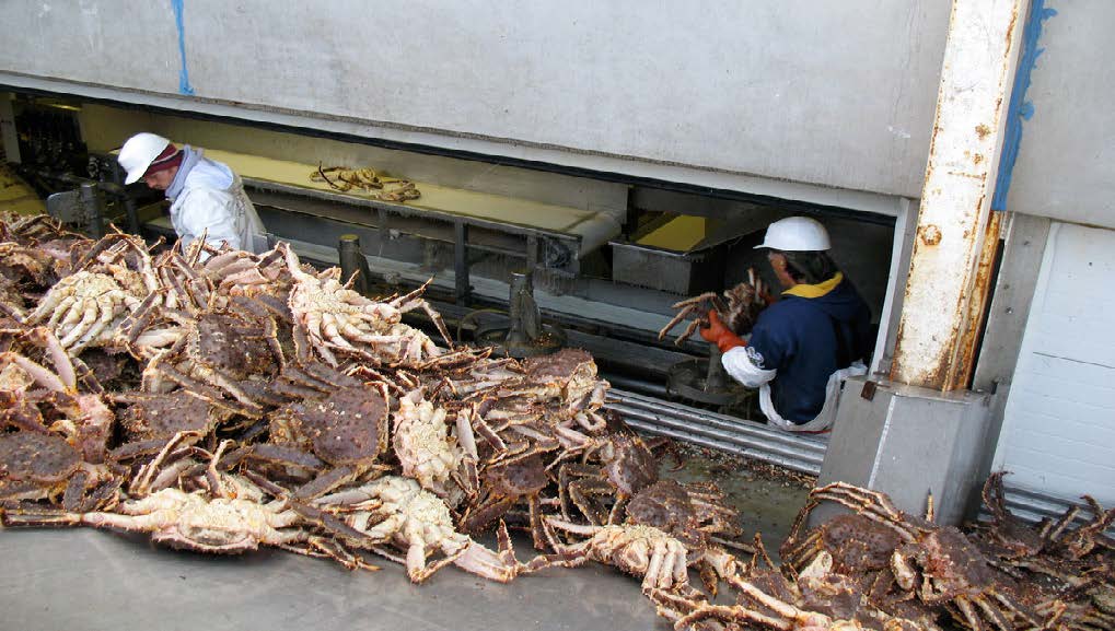 Pumping Seafood Residuals